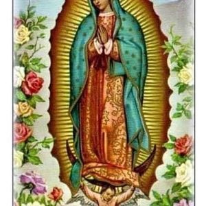 Meet your Posher, Ralph